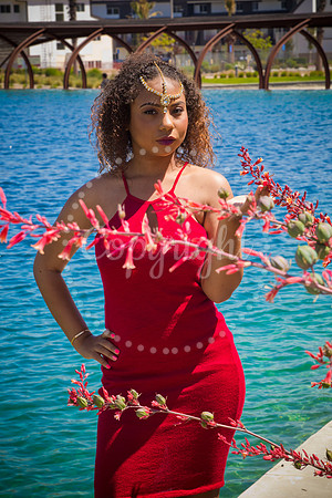 Anaya_Pre_062
