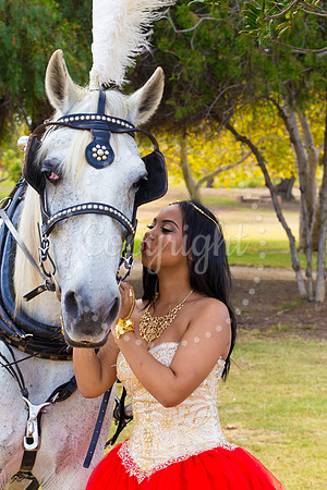 Ahniyah_sarea-darlene_Event_104