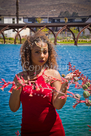 Anaya_Pre_066