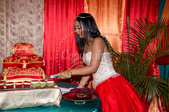 Ahniyah_sarea-darlene_Event_347