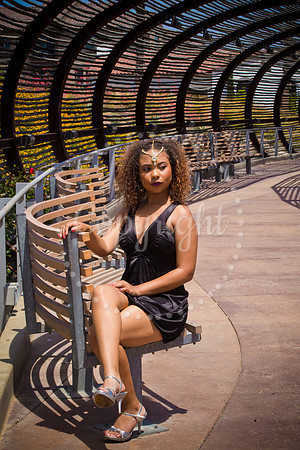 Anaya_Pre_207