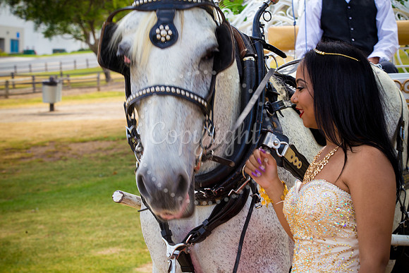 Ahniyah_sarea-darlene_Event_096