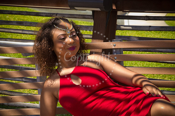 Anaya_Pre_111