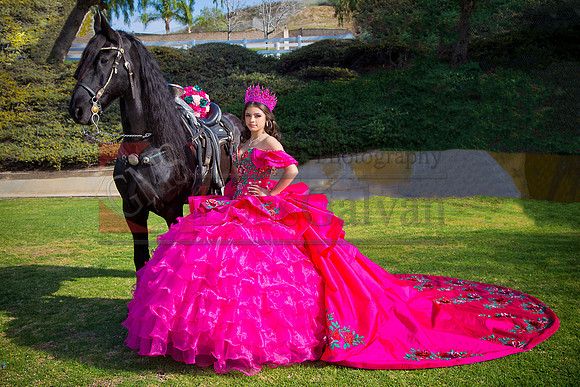 IMG_1590-Edit-Edit