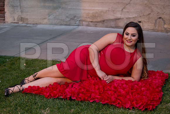 Lizette_and_Garrett_Pre_0096