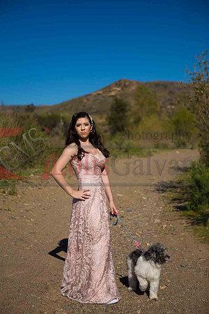 Birz Photos_011