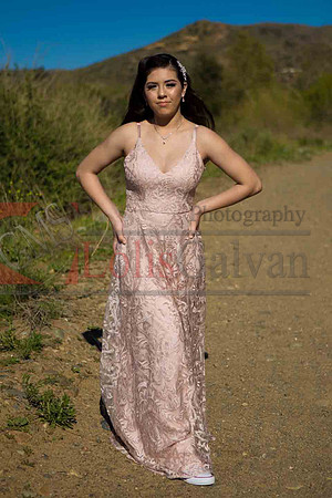 Birz Photos_052