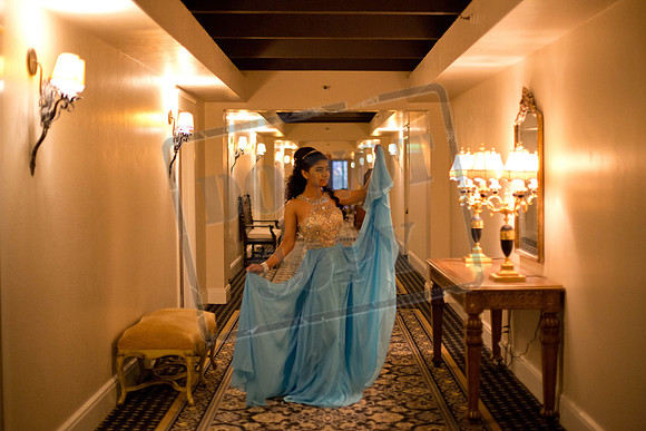 Daphne_Pre_0246