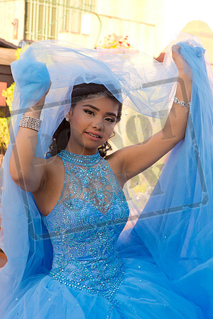 Daphne_Pre_0092