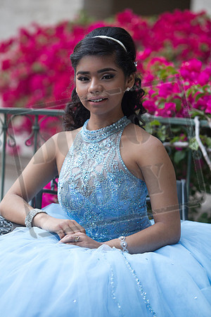 Daphne_Pre_0207