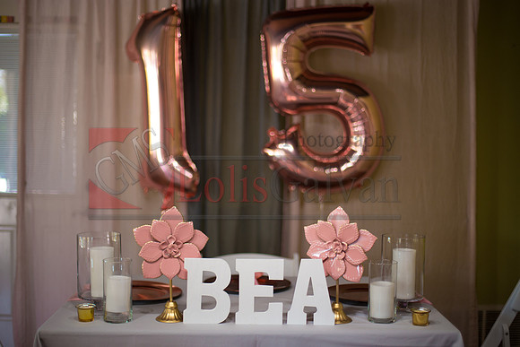 BEA PHOTOS_0083