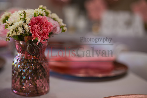BEA PHOTOS_0085