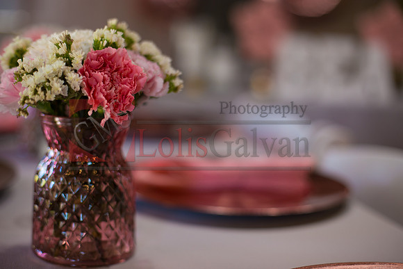 BEA PHOTOS_0086