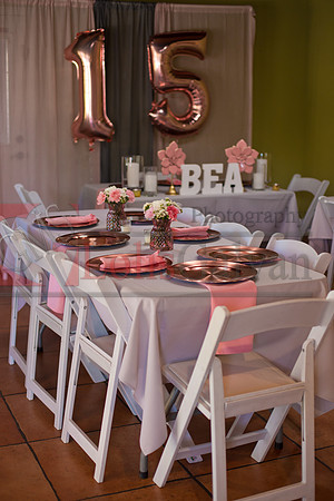 BEA PHOTOS_0088