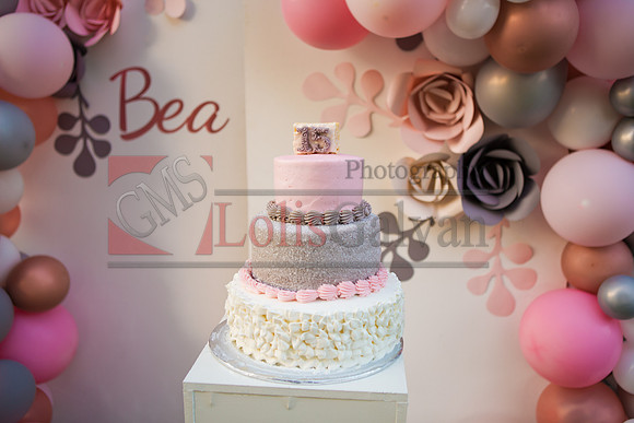 BEA PHOTOS_0525