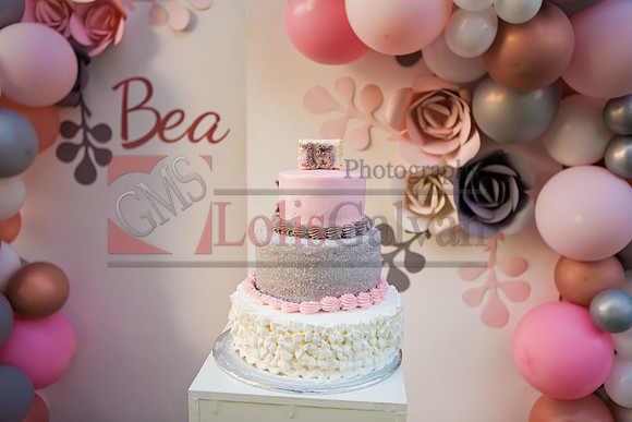 BEA PHOTOS_0526