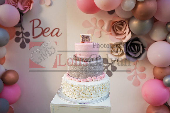 BEA PHOTOS_0528