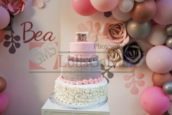 BEA PHOTOS_0532
