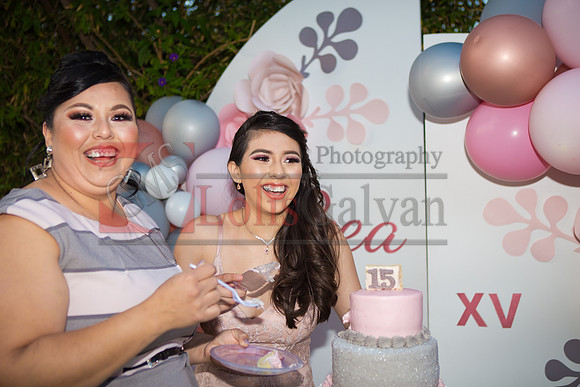 BEA PHOTOS_0573