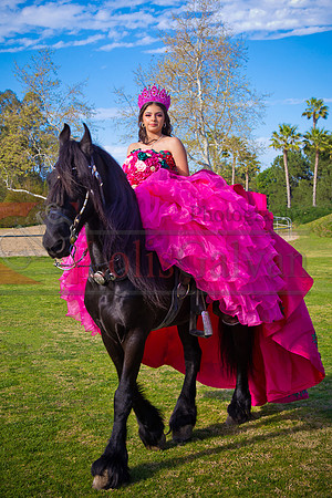IMG_1709-Edit-Edit