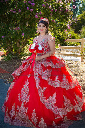 IMG_8623-Edit