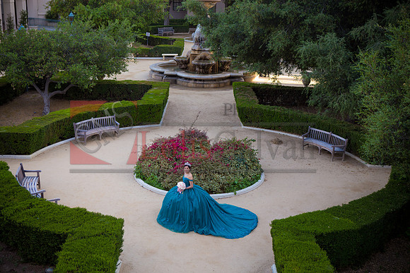 Gally's Pre-Pictures_0229