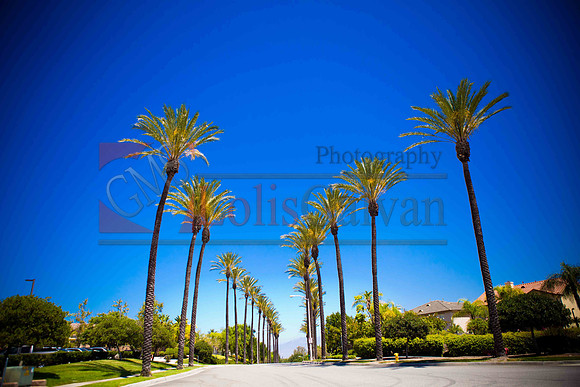 Weslie & Marissa Wedding _0003