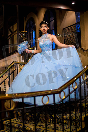 Daphne_Pre_0239