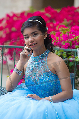 Daphne_Pre_0205
