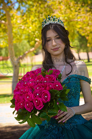 IMG_8890-Edit-Edit
