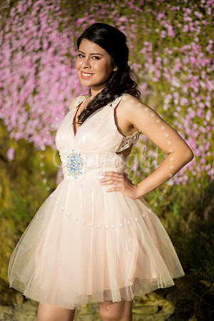 Ashley_Pre_075