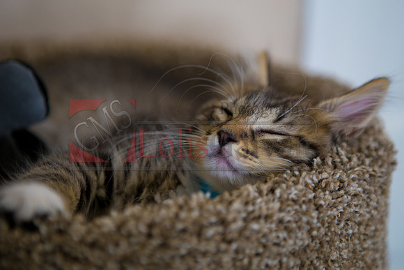Brianna & Sthepanie_0023