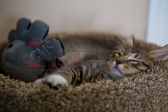 Brianna & Sthepanie_0024