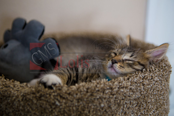 Brianna & Sthepanie_0025
