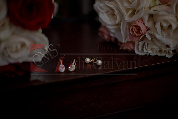 Brianna & Sthepanie_0043