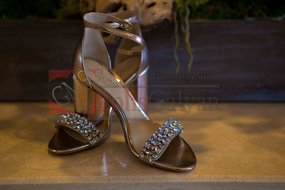 Weslie & Marissa Wedding _0033