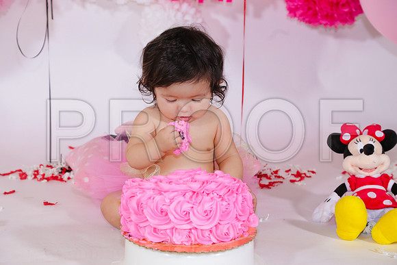 Amaris Baby_089