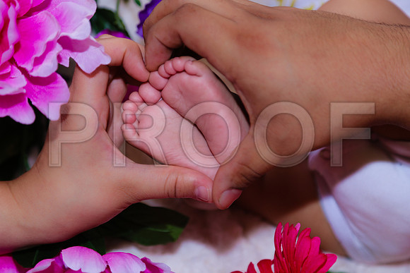 Amaris Baby_176