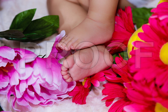 Amaris Baby_178