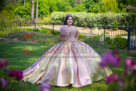 IMG_0264-Edit