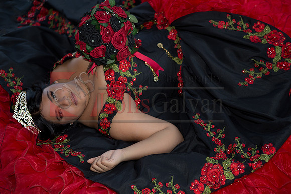 IMG_9845-Edit-Edit-Edit
