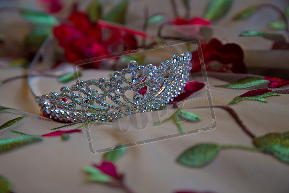 Fatima Ruby_0005