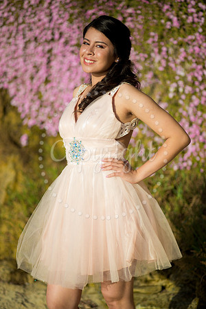 Ashley_Pre_074