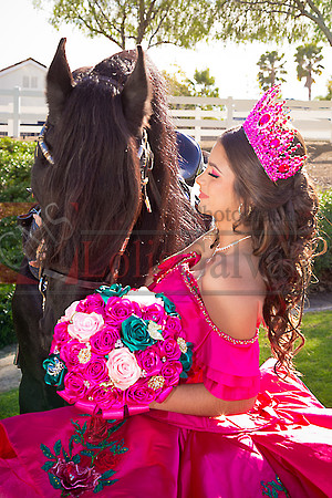 IMG_1564-Edit-Edit