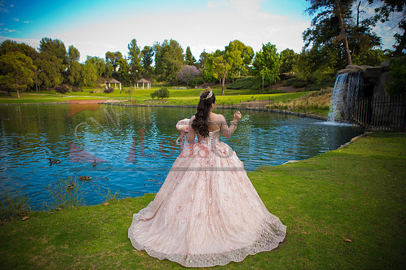 IMG_2597-Edit