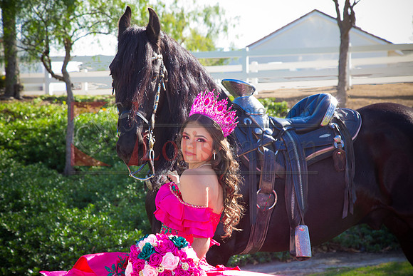 IMG_1543-Edit