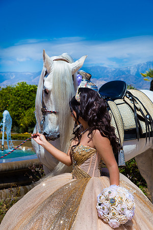 IMG_1367-Edit-3