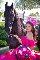 IMG_1548-Edit