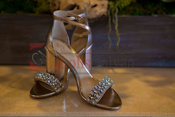 Weslie & Marissa Wedding _0032