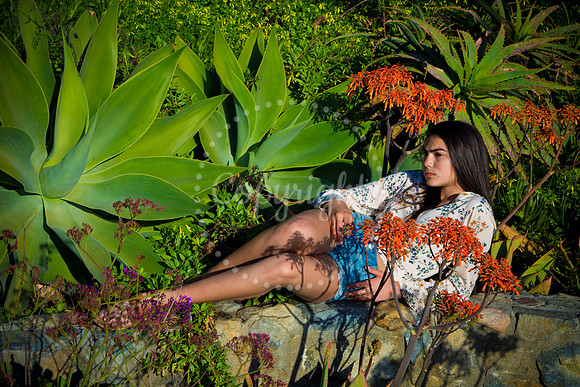 Amaris Pre-Pictures_0151
